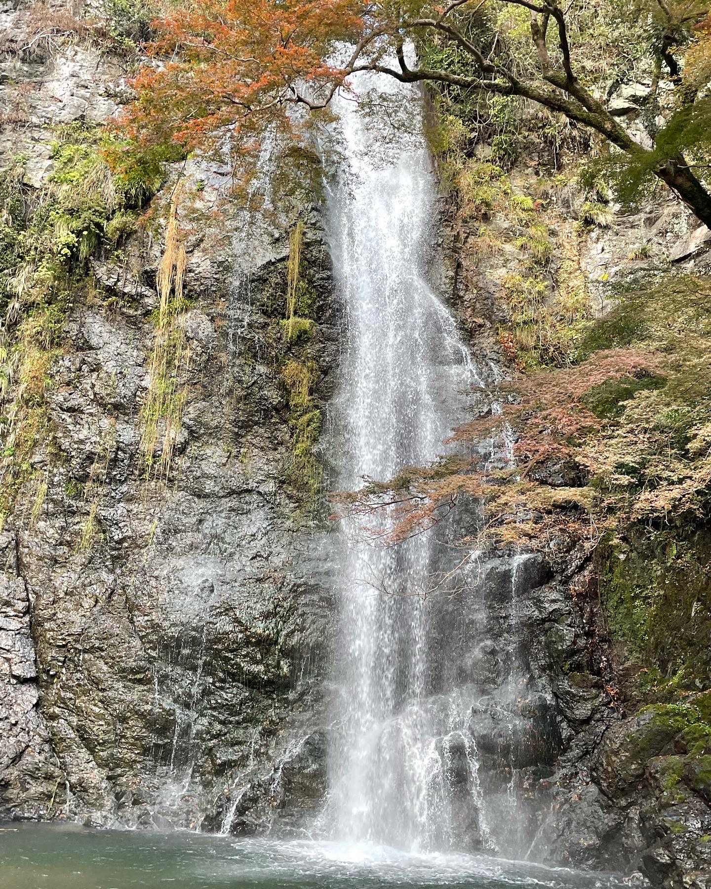 箕面滝イメージ写真