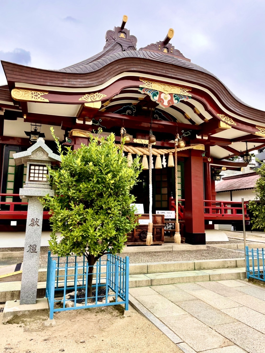 生根神社イメージ写真