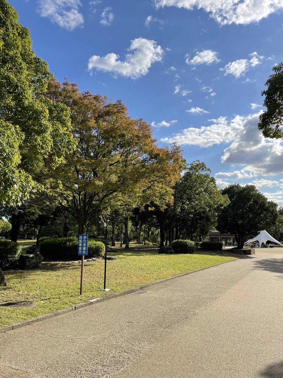 大仙公園イメージ写真