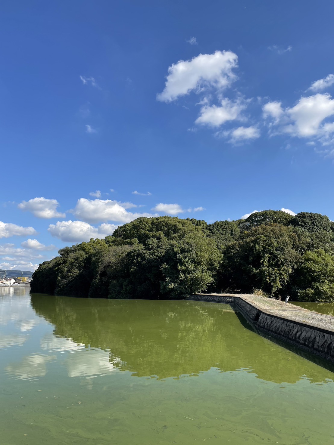 大塚山古墳イメージ写真