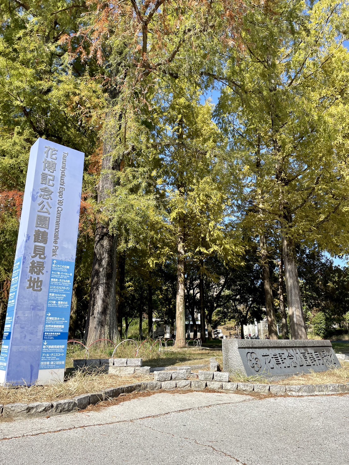花博記念公園鶴見緑地イメージ写真