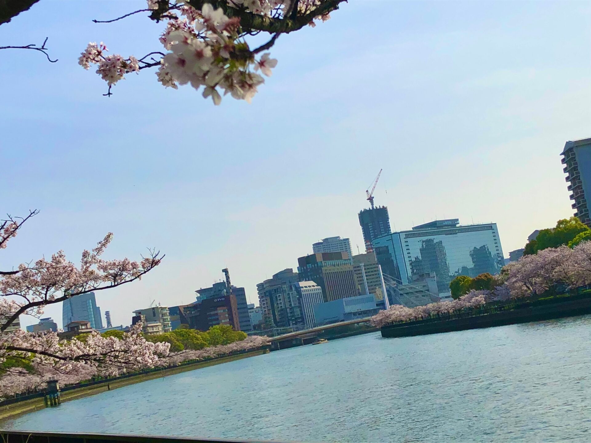 淀川河川公園イメージ写真