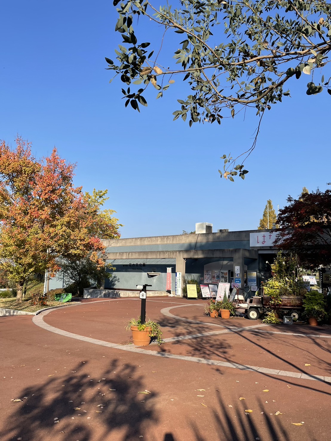 大阪府立花の文化園イメージ写真