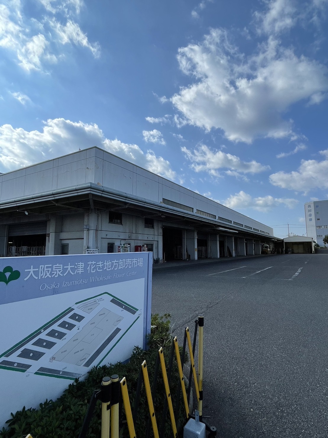 大阪泉大津花き地方卸売市場 (西日本花き株式会社)イメージ写真