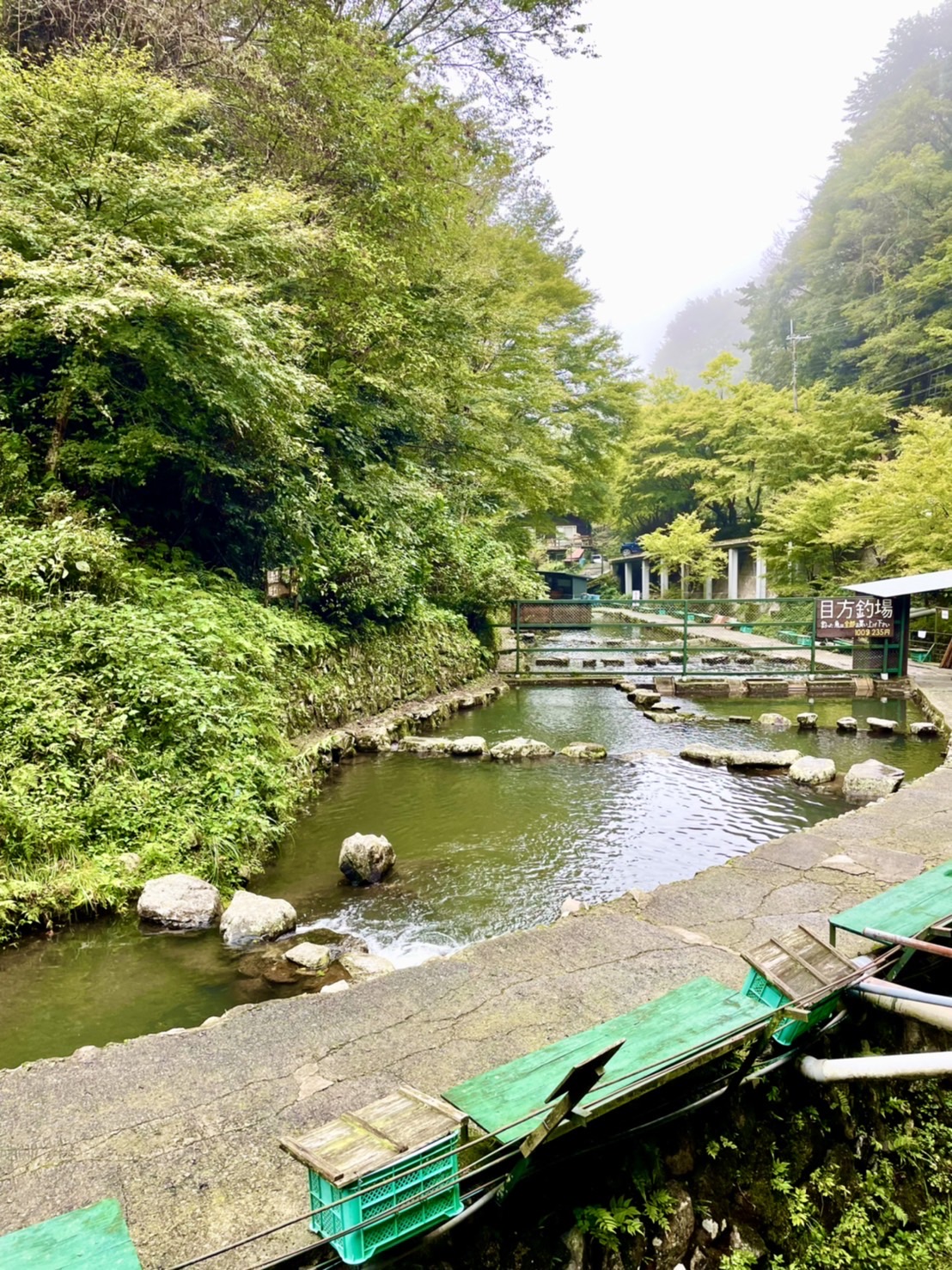 千早川マス釣り場イメージ写真