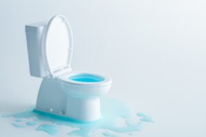 トイレの床がじわじわ水漏れするのはなぜ？原因と対処法をプロが解説